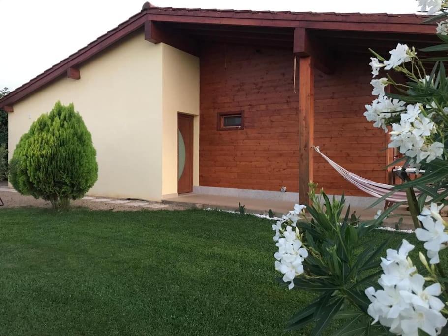 Quinta Pedro E Ines Villa Braganca Ngoại thất bức ảnh
