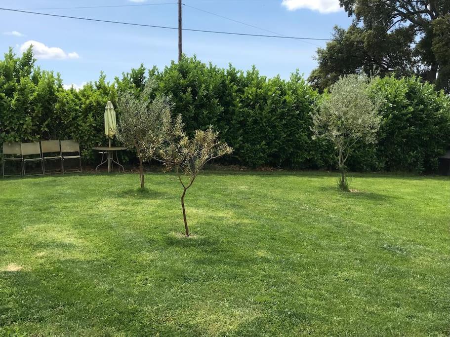 Quinta Pedro E Ines Villa Braganca Ngoại thất bức ảnh